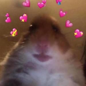 Meet your Posher, Jackelyn